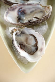 A fresh serving of natural oysters with a chilled lime drink.