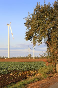 Broken blades of a wind turbine