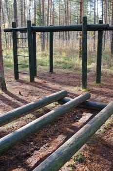 Exercise equipment  of logs  in a forest park
