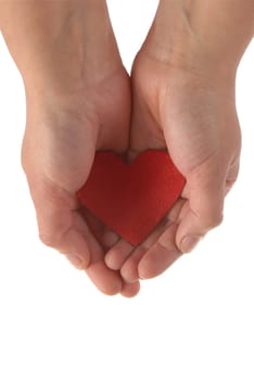 Two woman hands holding a fabric red heart isolated on white background.  Included clipping path, so you can easily cut it out and place over the top of a design.