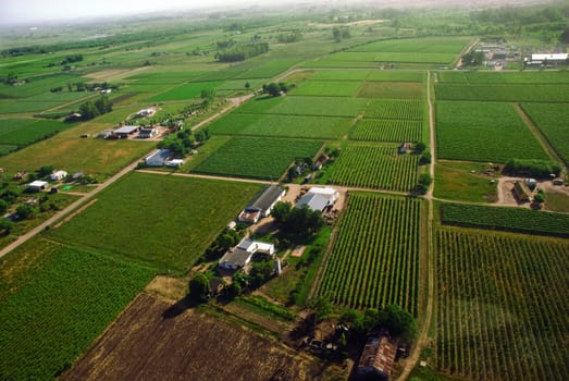 Aerial view of green country fields in Uruguay.