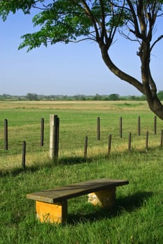 Single bench on green grass in a sunny day in the meadow.