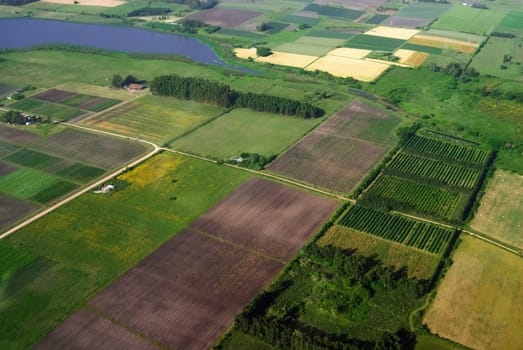 Aerial view of green country fields in Uruguay.