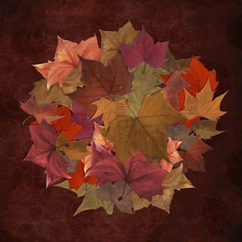 Autumn leaves circle pattern vintage background
