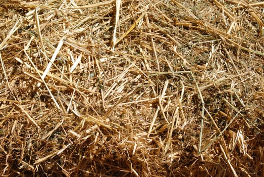 Hay background on a sunny day.