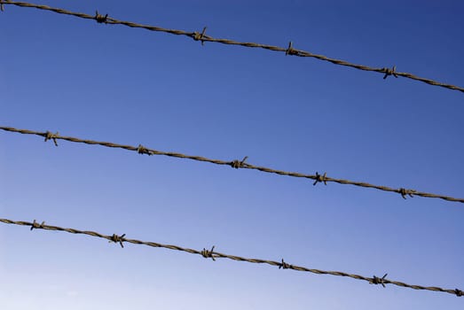 Cut wire fence with dark blue sky background.