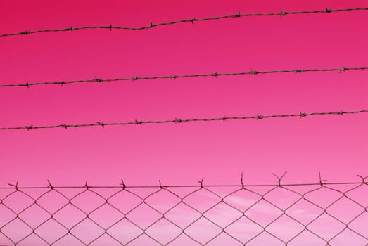 Cut wire fence with pink sky background.