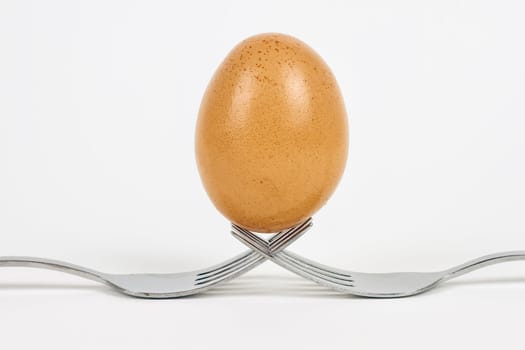 fresh egg, held between forks isolated on white background