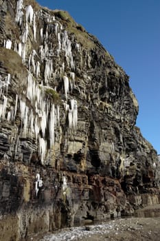 icicles on a cliff face melting in ballybunion ireland on a winters day