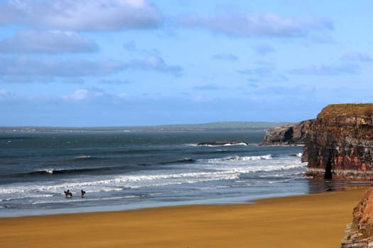 horses having a dip in the sea in ballybunion with view of beach and cliffs