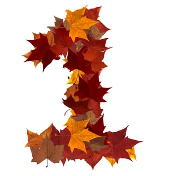 Number 1 made with autumn leaves. Isolated on white with clipping path, so you can easily cut it out and place over the top of a design. Find others symbols in our portfolio to compose your own words.