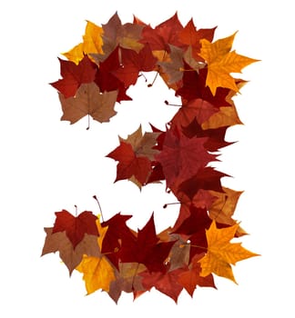 Number 3 made with autumn leaves isolated on white with clipping path. So you can easily cut it out and place over the top of a design. Find others symbols in our portfolio to compose your own words.