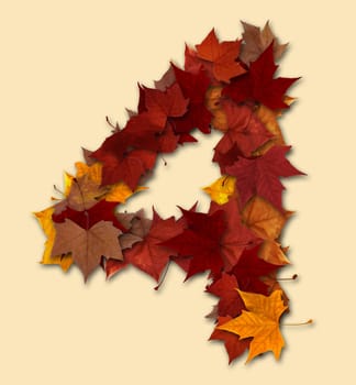 Number 4 drop shadow made with autumn leaves Isolated with clipping path, so you can easily cut it out and place over the top of a design. Find others types in our portfolio to compose your own words.