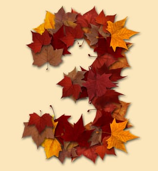 Number 3 drop shadow made with autumn leaves Isolated with clipping path, so you can easily cut it out and place over the top of a design. Find others types in our portfolio to compose your own words.