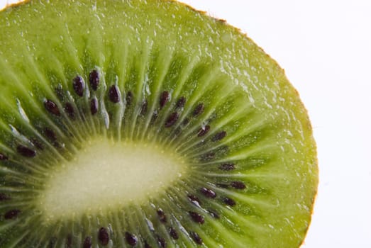 Macro shot. Close up kiwi isolated on white background