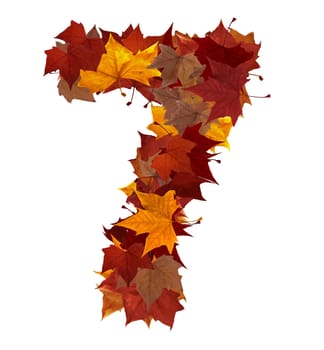 Number 7 made with autumn leaves. Isolated on white with clipping path, so you can easily cut it out and place over the top of a design. Find others symbols in our portfolio to compose your own words.