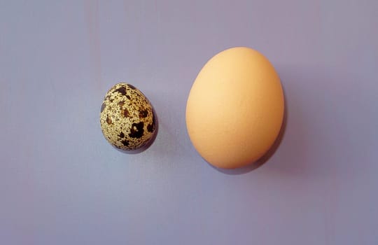 Small quail and big chicken eggs