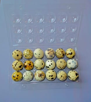 Quail eggs
