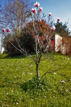 A beautiful spring day