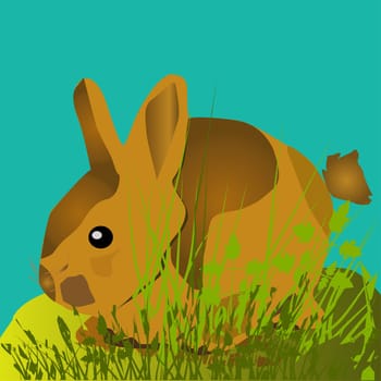 Small Rabbit