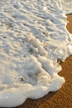 Wave foam and golden sand on the shore.
