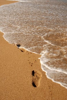 footprints on the sand at the seashore