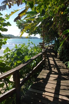 Wooden vegetation roofed walkway by the sea