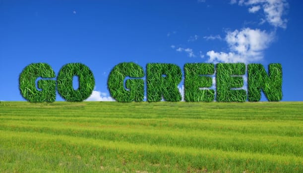 Textured go green sign over fresh grass and lue sky background.