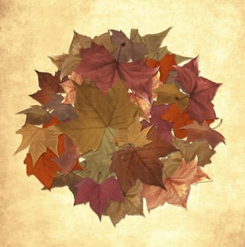 Autumn leaves circle grunge background