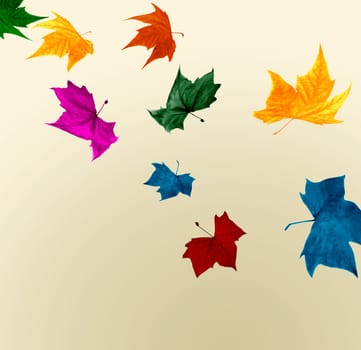 Autumn leaves flying  shocking colors