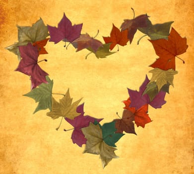 Multicolored fall leaf lot in empty heart shape over vintage background