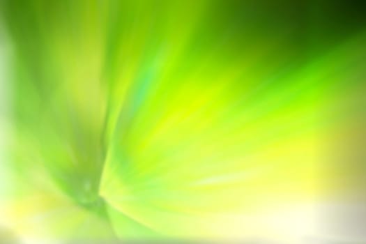 Abstract colorful background with flowers