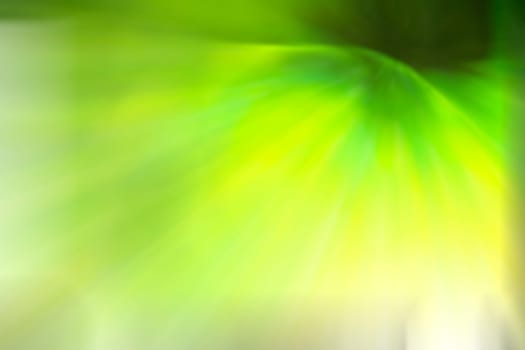 Abstract colorful background with flowers