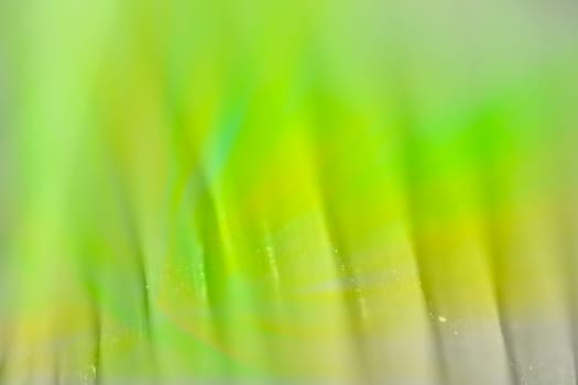 Abstract colorful background with flowers
