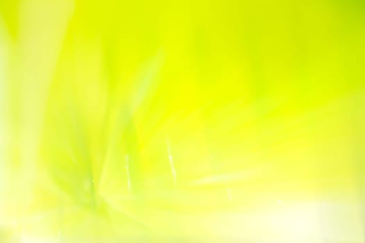 Abstract colorful background with flowers