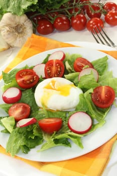 mixed colorful salad with poached egg