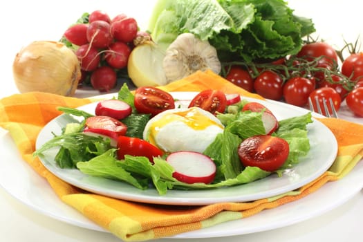 mixed colorful salad with poached egg