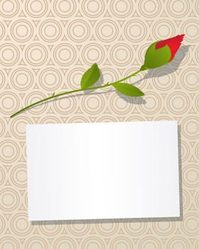 Decorative background with rose flower and  message card.