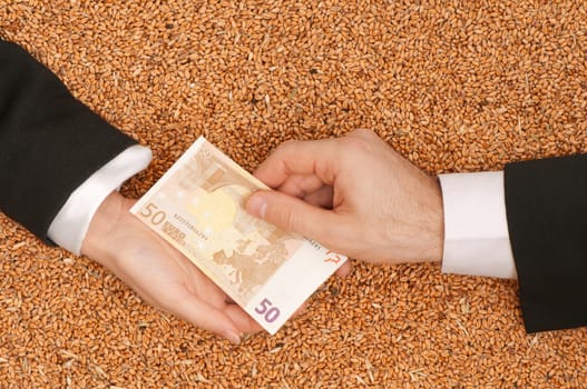 The businessman pays delivery of wheat by euro