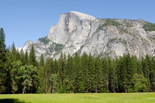 landscape in Yosemite National Park in California in the United States of America