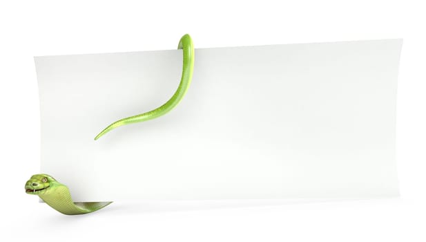 Cobra holds planks paper, isolated on white background