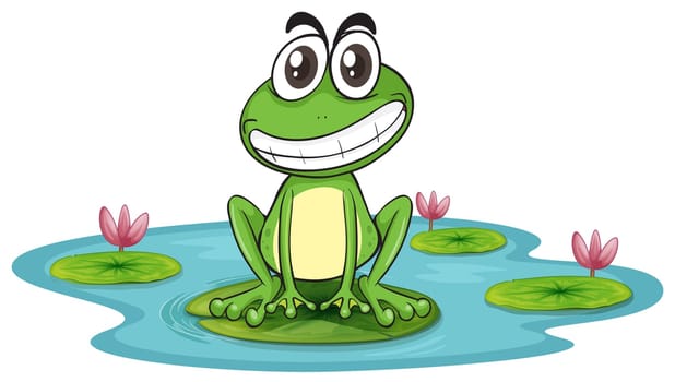 illustration of a frog and a water on a white background