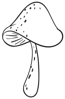 detailed illustration a mushroom sketch on a white background