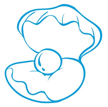 illustration of a conch shell on a white background