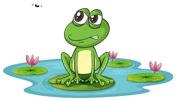 illustration of a frog and a water on a white background