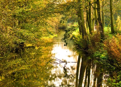 Landscape trees and reflection in water with late evening sun in autumn