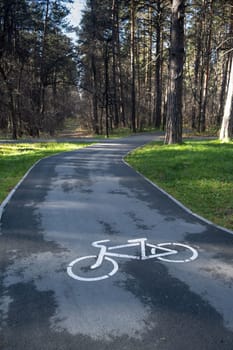 A signpost or bicycle road sign painted on the asphalt in a city park. Bicycle path in the forest. The concept of safety, compliance with traffic rules. Bike Lane.