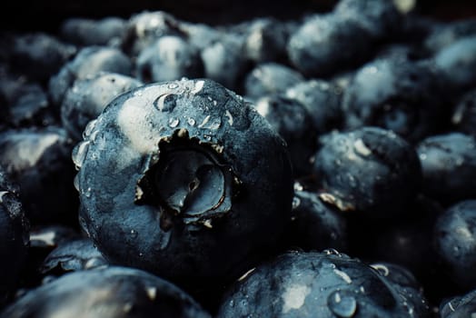 Amazing fresh ripe bilberries. Gigantic acai berries. Extreme macro photo of organic blueberry plant. Diet, antioxidant, healthy vegan food.