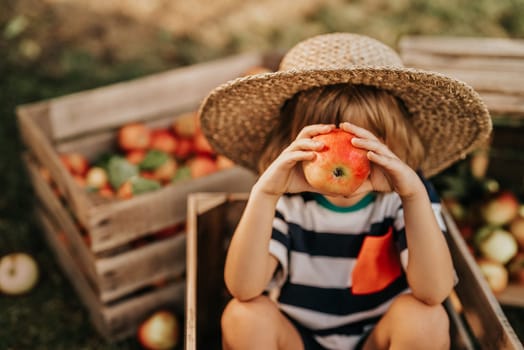 Little child in straw hat proposing, gives apple to camera. Boy sits in orchard. Son in home garden explores plants, nature in autumn countryside. Amazing scene. Love, harvest, childhood concept