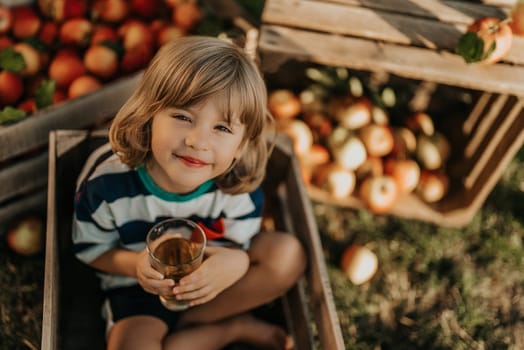 Cute little toddler boy drinking apple juice in wooden box in orchard. Son in home garden explores plants, nature in autumn countryside. Amazing scene. Family, love, harvest, childhood concept